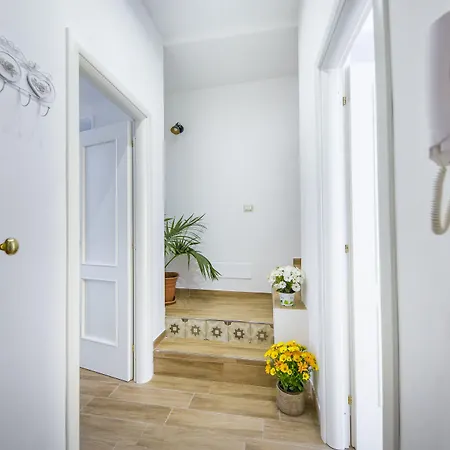 Dafni E Naide 住宿加早餐酒店 切法卢